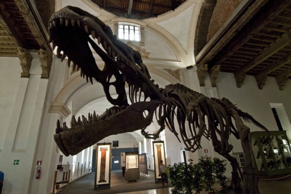 museo-scienze